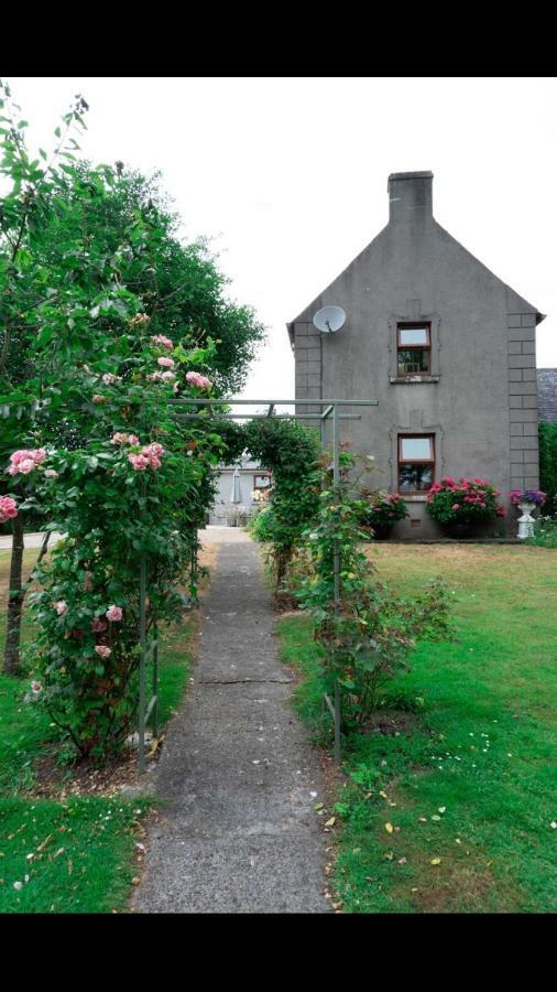 Laurel House Appartamento Borris Esterno foto